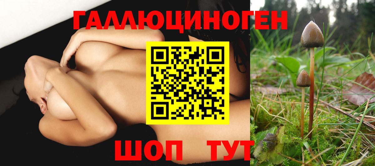 Тихвин  Псилоцибиновые грибы GOLDEN TEACHER  Вход с VPN 