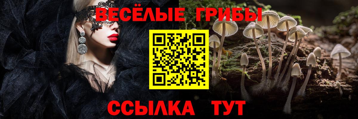 Псилоцибиновые грибы GOLDEN TEACHER Тихвин