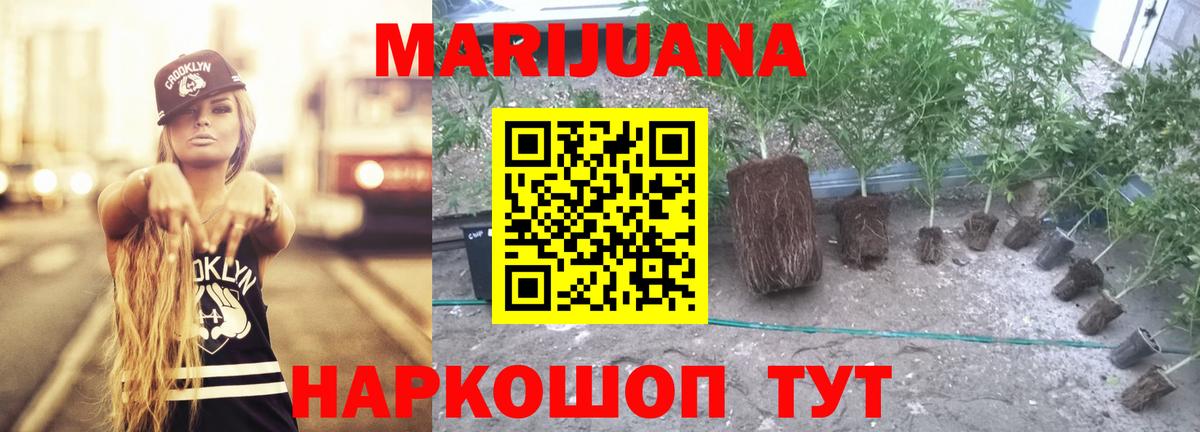 Шишки марихуана Amnesia Тихвин
